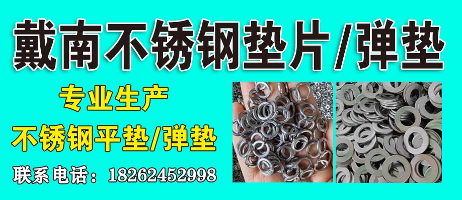 戴南不锈钢垫片/弹垫